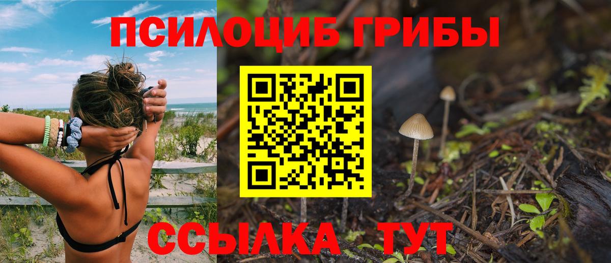 Псилоцибиновые грибы ЛСД  Псилоцибиновые грибы мухоморы  Слободской  Вход с VPN 